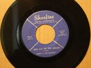 LARRY & LOAFERS *Let's Go To The Beach* WHO Surf Rock Garage 45 on SHURFINE 017
