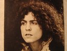 CRANIUM'S T-Rex A BEARD OF STARS Blue Thumb Promo Lp NM Marc Bolan TYRANNOSAURUS