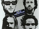 Wooden Shjips - Dos Vinyl LP Holy Mountain NEW