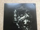 Pete Burns/ Dead or Alive / Nightmares in Wax - 12