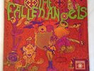 THE FALLEN ANGELS It's A Long Way Down US Roulette 1968 Holy Grail Psych LP