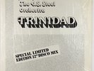 John Gibbs & US Steel Orch. - Trinidad 12