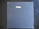 The Muffins - Air/Fiction 1979 LP  Random Radaar / Rock in Opposition