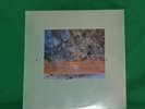DIF JUZ EXTRACTIONS  UK 4AD CAD 505 ORIGINAL 1985 LP   NEAR MINT VINYL