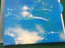 Field of the Nephilim LP Luxor   Top Cond.