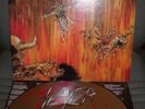 SLAYER - Picture LP 