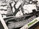 Green Day 39/Smooth Vinyl authentically signed by Billie Joe, Mike, and Tre