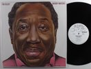 MUDDY WATERS I'm Ready BLUE SKY LP NM/VG++ wlp