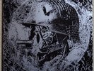Holy Moses Terminal Terror (????????) Vinyl Erstpessung 1991 Virginia Rec.