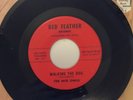 The Nite Owls/ Walking the Dog/7