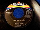 Northern Soul 45 DEE DEE SHARP What Kind Of Lady/You're Gonna Miss Me GAMBLE 219