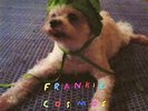 Zentropy [VINYL] Cosmos, Frankie Vinyl