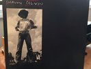 Shawn Colvin - Steady On - LP Columbia C 45209   Shotgun Down The Avalanche   EX