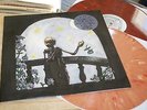 Greatful Dead - Dead In Cornell Vol 2 - Darwinism In The Falkland Color Rock 2LP