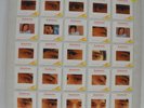 JOHN CALE - THE ACADAMY IN PERIL-1972 COPY-ANDY WARHOL DIE CUT-PLAY GRADED VG+