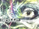 Pendulum-Hold Your Colour (Repress) (UK IMPORT) VINYL NEW