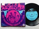 STATUS QUO ARE YOU GROWING TIRED OF MY LOVE (DUTCH 7
