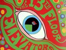 The 13th Floor Elevators - The Psychedelic Sounds Of  LP 180g