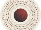 A Perfect Circle The Doomed/Disillusioned Ltd Ed 10 in