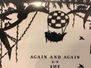 Dave Matthews Band DMB 2018 Black Friday RSD exclusive 7” Again and Again / She