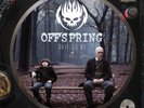 The Offspring – Days Go By  12