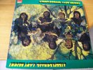 STEEPLECHASE LADY BRIGHT LP ACID ROCK POLYDOR UK