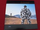 2 Vinyl LP* Pink Floyd ?– Delicate Sound Of Thunder (1988) *Rar & TOP *Gatefold*