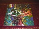 LED ZEPPELIN - KASHMIR -  V. LTD MSG '75 LIVE PIC DISC LP MINT NO TMOQ TMQ TAKRL