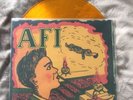 Ltd AFI Gold Lp, Sick Of It All, Ignite, Ensign, Good Riddance