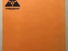 MIKE STEVENS TRIDENT STUDIOS 10 TRACK LP ACETATE