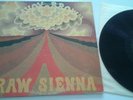 SAVOY BROWN 