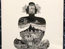 Flower Travellin’ Band - Satori LP - Japanese Psychedelic Rock - Phoenix Records