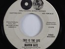 Northern Soul 45 MARVIN GAYE This Is The Life TAMLA promo HEAR