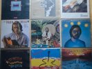 9 LP Sammmlung Al Di Meola Paco Del Lucia John Mc Laughlin Peter Horton Schwab
