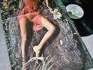 ROXY MUSIC  - Stranded Gatefold album Island pink rim