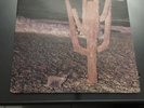 Vinyle 33t Ultra rare Indian Summer neon rca 1st original UK