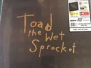 Toad The Wet Sprocket (LIMITED EDITION 5 LP BOX SET)