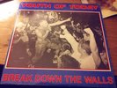 RARE YOUTH OF TODAY Break Down The Walls LP on Wishingwell Punk Hardcore 1986