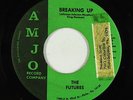 Sweet Soul/Funk 45 - Futures - Breaking Up - Amjo - mp3