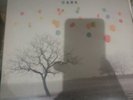 WALKING ON CARS Everything This Way 2016 European vinyl LP SEALED