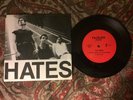 The Hates, “No Talk in the Eighties” (Faceless Records, 1979).