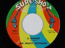 Northern Soul 45 - Mighty Mustangs - A Change - Sure-Shot - VG+ mp3