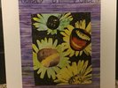 Guided By Voices Propeller LP Reissue Robert Pollard GBV Vinyl