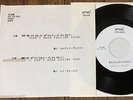 ELVIS PRESLEY Can't Help Falling Love /  Ray Charles  JAPAN WL PROMO 7
