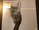 Sunny Day Real Estate The Rising Tide 2xLP Clear Vinyl New Limited Foo Fighters
