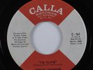 Funk Psych 45 JOHNNY THUNDER I'm Alive CALLA VG++/VG+ HEAR