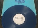 Rolling Stones Vinyl - Burning at the Hollywood Palladium, Live LP, TMOQ Blue CV
