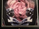 Death In June Rose Clouds Neofolk Sol Invictus Current 93 See Blutharsch NON