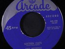 JOEY MICHAELS: Sixteen Cats / Too Blue To Cry 45 Rockabilly