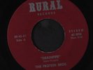 PROTEIN BROS.: Cholo / Drainpipe 45 Hear  (plays strong despite marks, Jazz wit